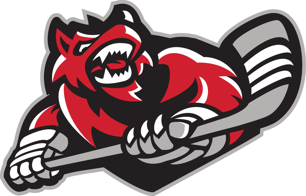 Huntsville Havoc 2016 17-Pres Secondary Logo iron on paper